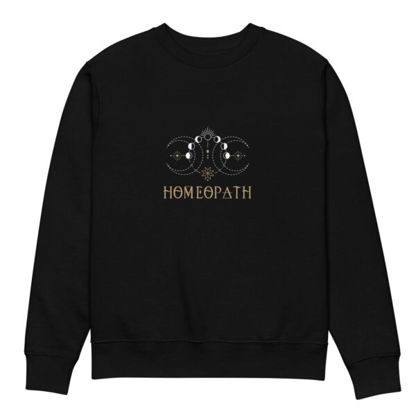 unisex-eco-sweatshirt-black-front-673d1052de6ea.jpg